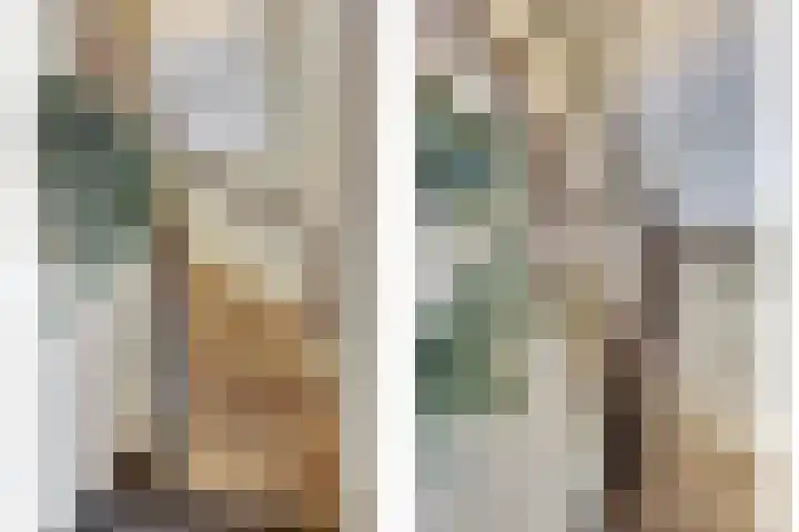 Zilverkarper 4 Vlijmen thumbnail 18