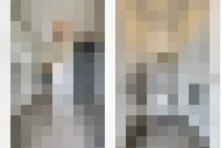 Zilverkarper 4 Vlijmen thumbnail 19