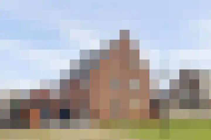 Zilverkarper 4 Vlijmen foto 2