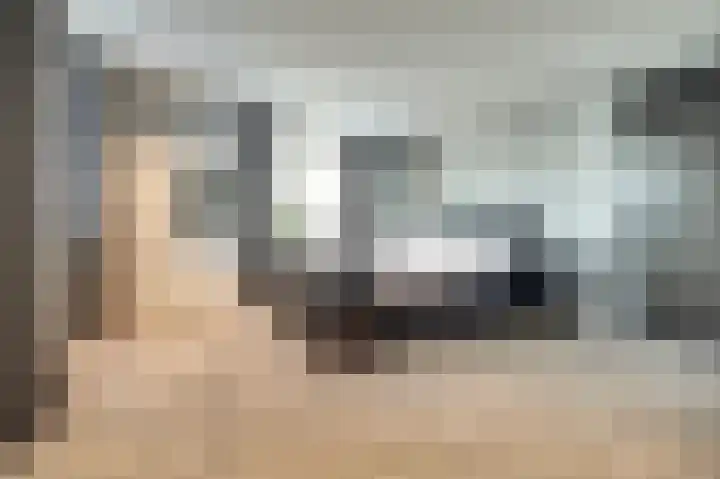 Zilverkarper 4 Vlijmen thumbnail 21
