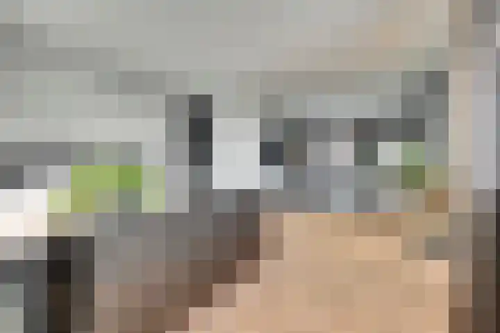 Zilverkarper 4 Vlijmen thumbnail 22