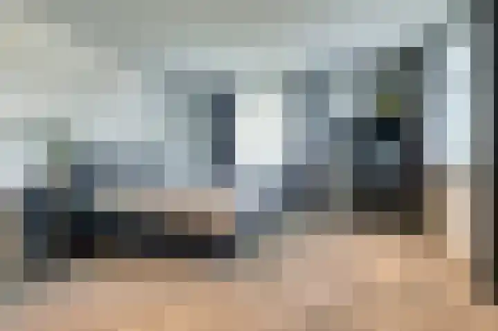 Zilverkarper 4 Vlijmen thumbnail 23