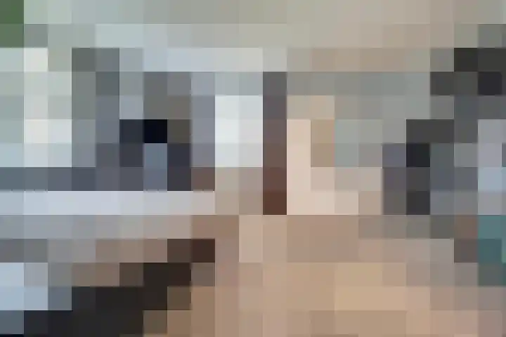 Zilverkarper 4 Vlijmen thumbnail 24