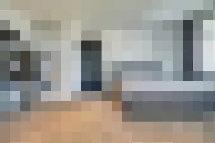 Zilverkarper 4 Vlijmen thumbnail 25