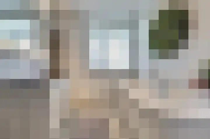 Zilverkarper 4 Vlijmen thumbnail 26