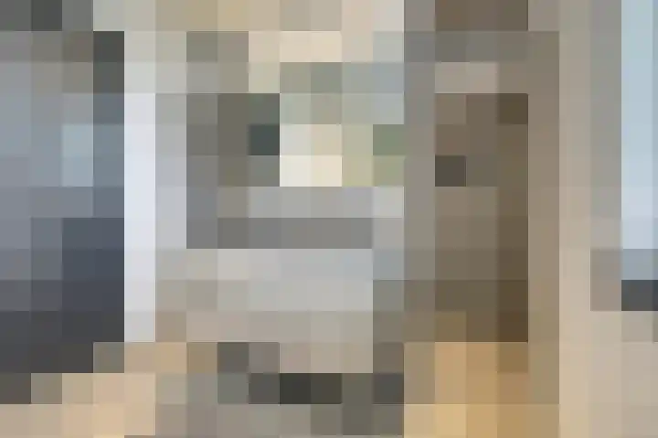 Zilverkarper 4 Vlijmen thumbnail 27