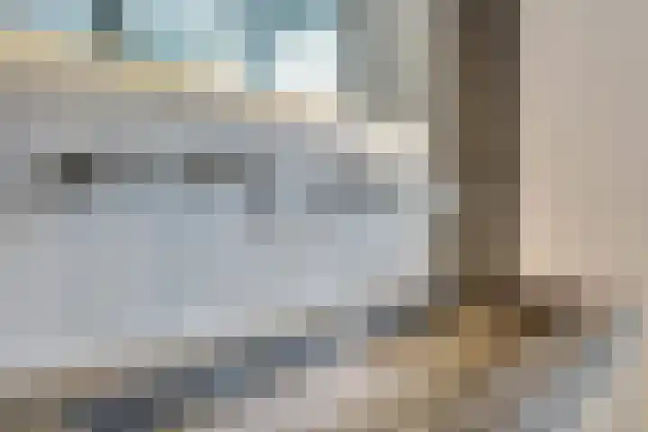 Zilverkarper 4 Vlijmen thumbnail 28