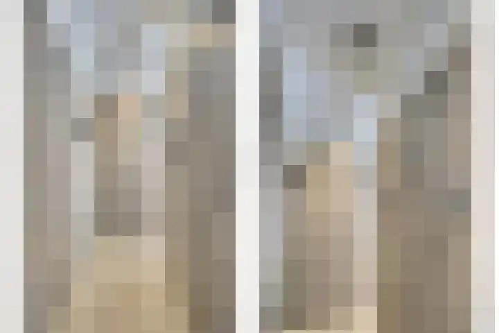 Zilverkarper 4 Vlijmen thumbnail 29