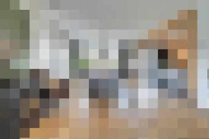 Zilverkarper 4 Vlijmen foto 3