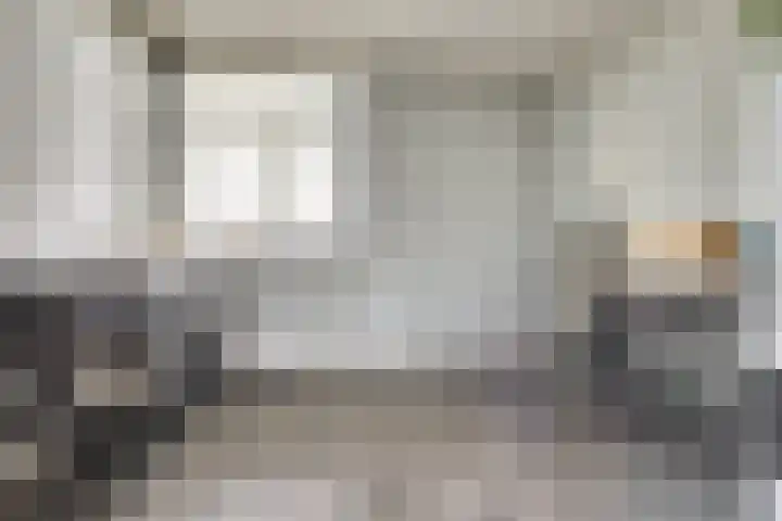 Zilverkarper 4 Vlijmen thumbnail 30