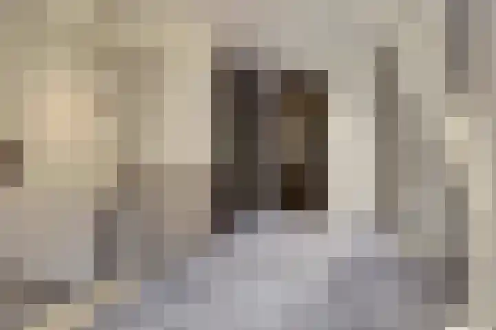 Zilverkarper 4 Vlijmen thumbnail 31