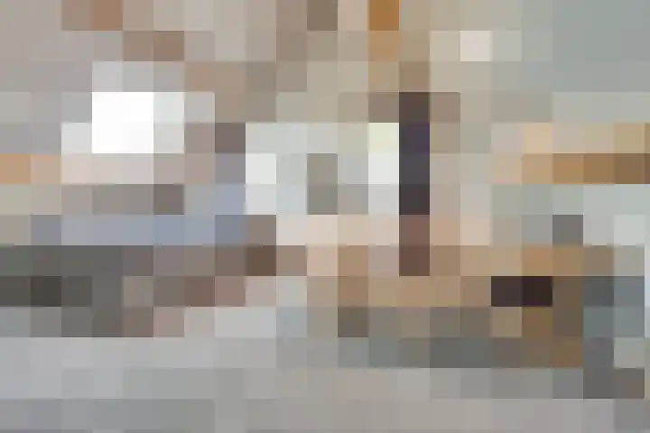 Zilverkarper 4 Vlijmen thumbnail 33