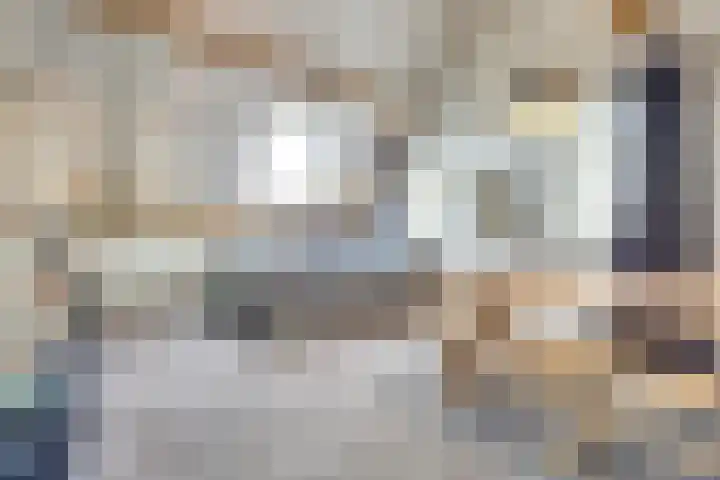 Zilverkarper 4 Vlijmen thumbnail 34