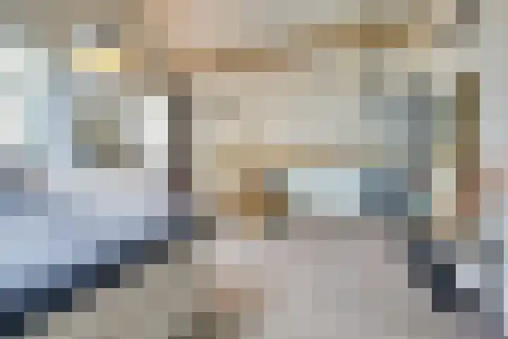 Zilverkarper 4 Vlijmen thumbnail 35