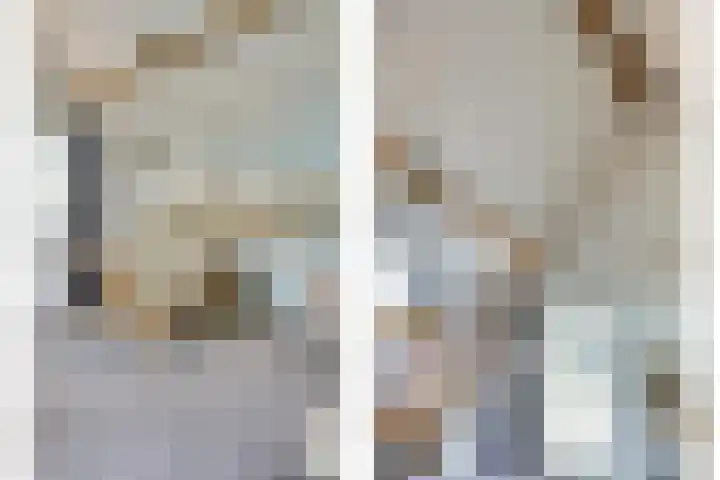 Zilverkarper 4 Vlijmen thumbnail 36