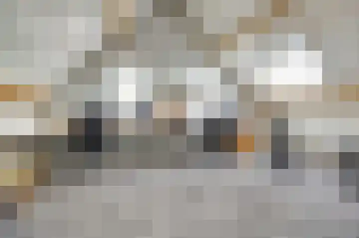 Zilverkarper 4 Vlijmen thumbnail 37