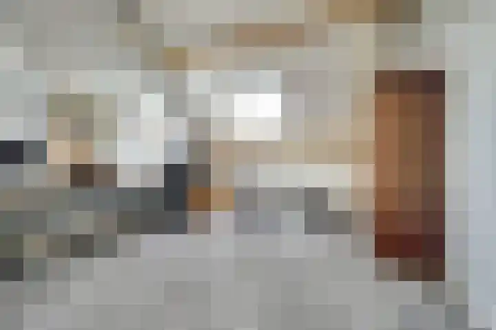 Zilverkarper 4 Vlijmen thumbnail 38