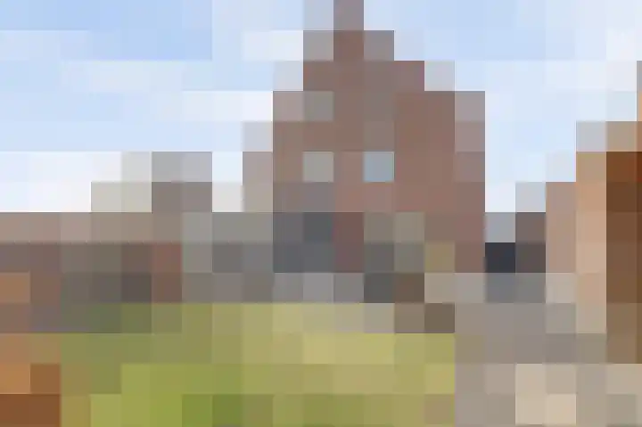 Zilverkarper 4 Vlijmen thumbnail 40