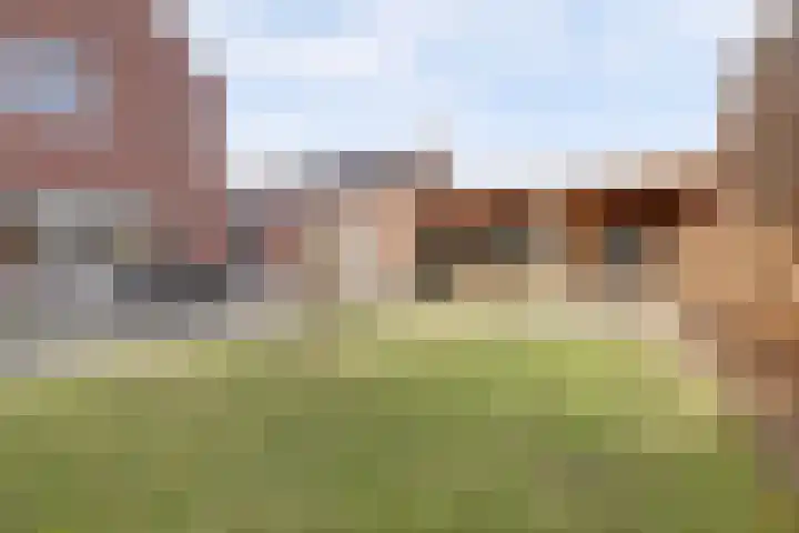 Zilverkarper 4 Vlijmen thumbnail 41