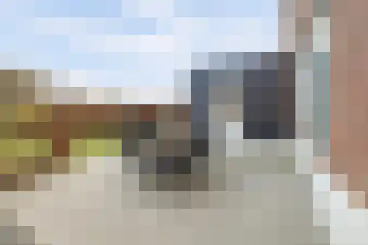 Zilverkarper 4 Vlijmen thumbnail 44