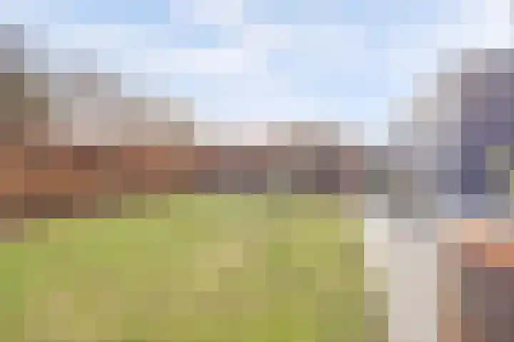 Zilverkarper 4 Vlijmen thumbnail 45