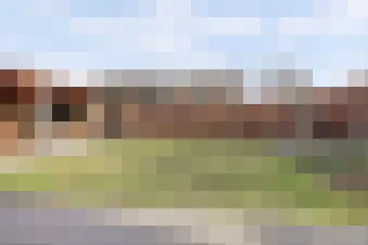 Zilverkarper 4 Vlijmen thumbnail 47