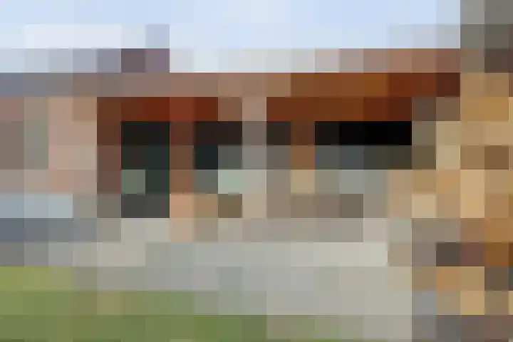 Zilverkarper 4 Vlijmen thumbnail 48