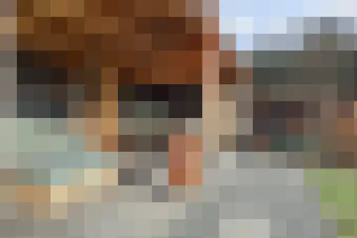 Zilverkarper 4 Vlijmen thumbnail 49