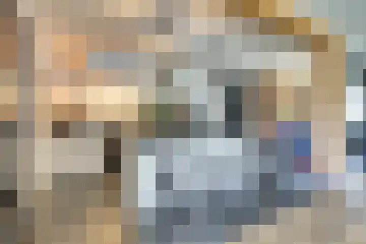 Zilverkarper 4 Vlijmen thumbnail 5