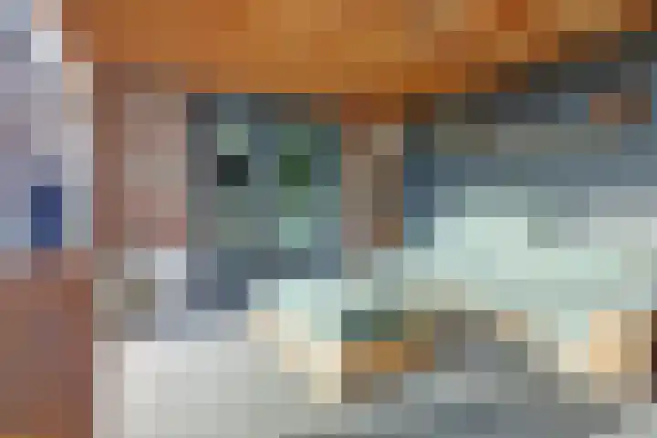 Zilverkarper 4 Vlijmen thumbnail 51