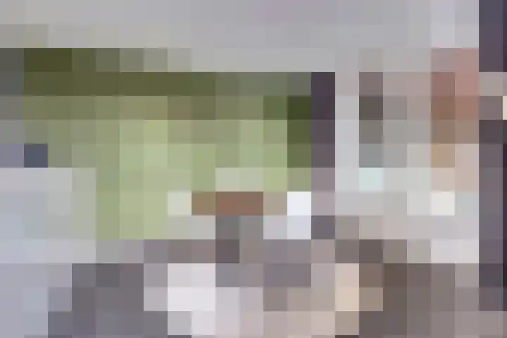 Zilverkarper 4 Vlijmen thumbnail 52