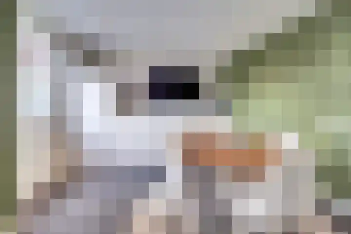 Zilverkarper 4 Vlijmen thumbnail 53