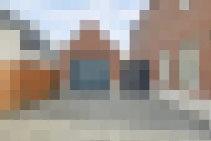 Zilverkarper 4 Vlijmen thumbnail 54