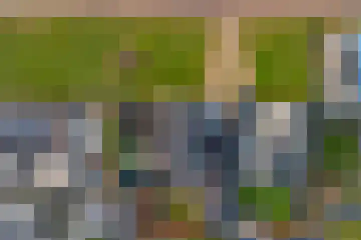 Zilverkarper 4 Vlijmen thumbnail 58