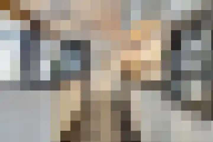 Zilverkarper 4 Vlijmen thumbnail 6