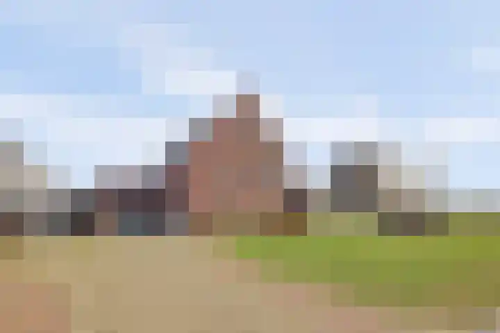 Zilverkarper 4 Vlijmen thumbnail 60