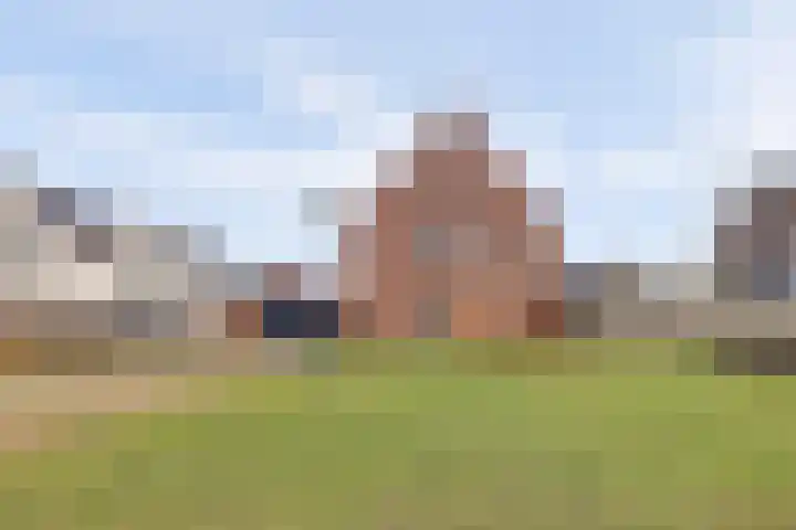 Zilverkarper 4 Vlijmen thumbnail 61