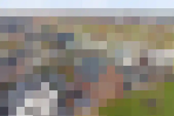 Zilverkarper 4 Vlijmen thumbnail 62