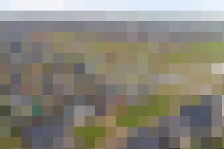 Zilverkarper 4 Vlijmen thumbnail 63