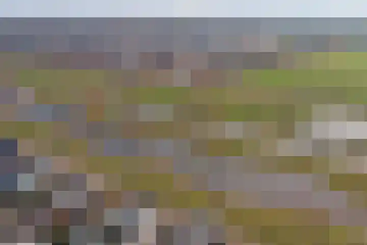 Zilverkarper 4 Vlijmen thumbnail 64