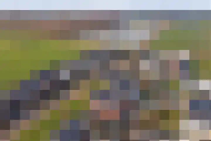 Zilverkarper 4 Vlijmen thumbnail 65