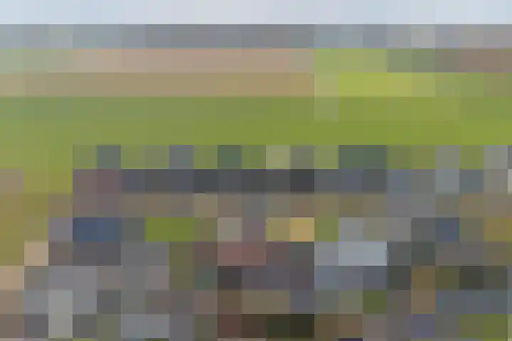 Zilverkarper 4 Vlijmen thumbnail 67