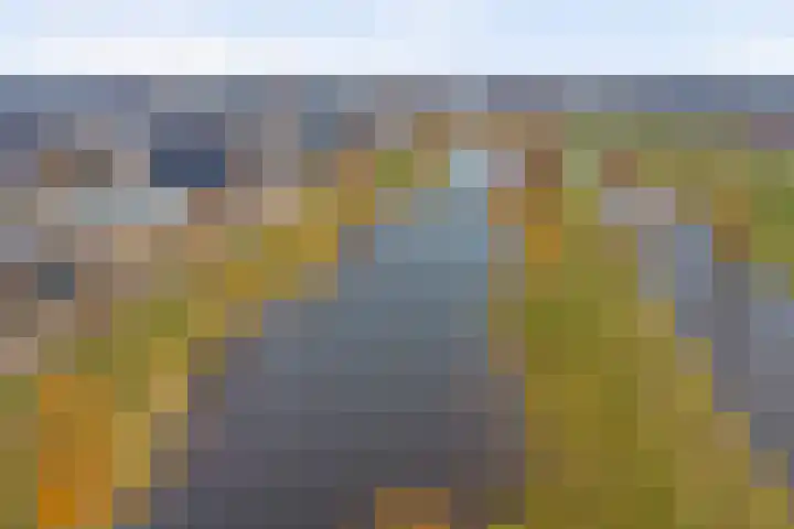 Zilverkarper 4 Vlijmen thumbnail 68