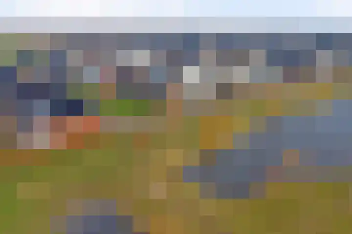 Zilverkarper 4 Vlijmen thumbnail 69
