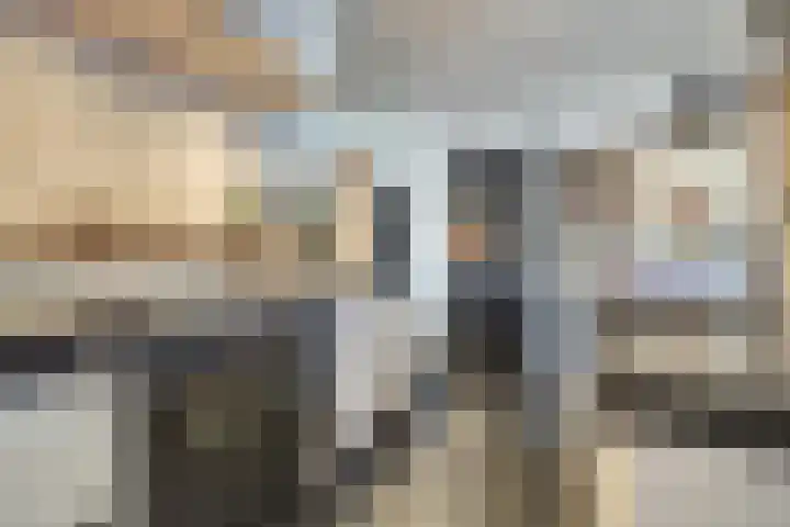 Zilverkarper 4 Vlijmen thumbnail 7