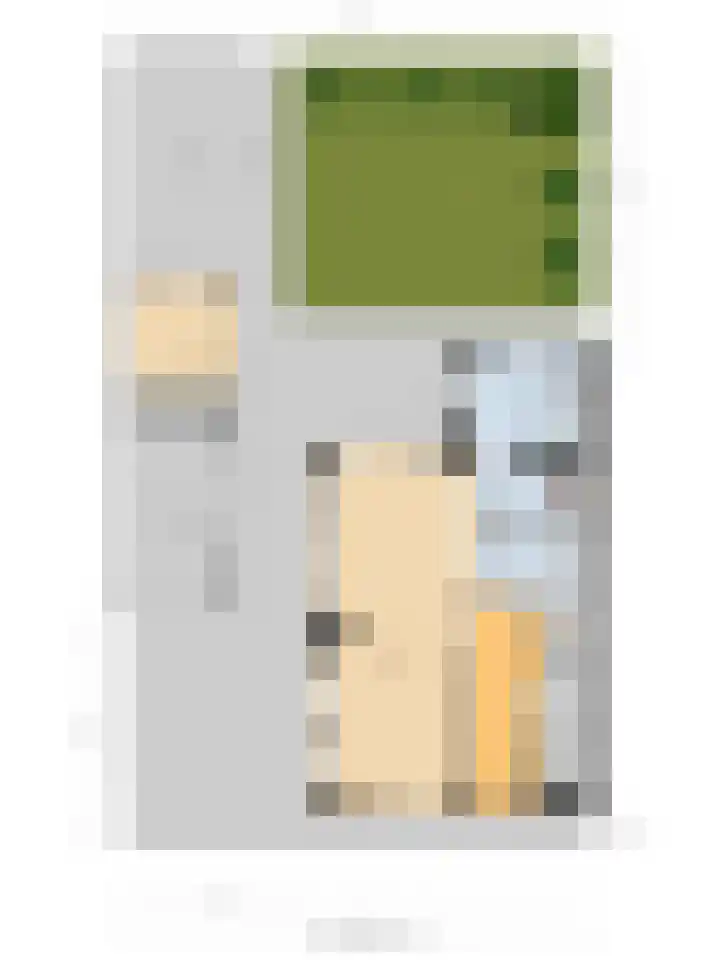 Zilverkarper 4 Vlijmen thumbnail 72