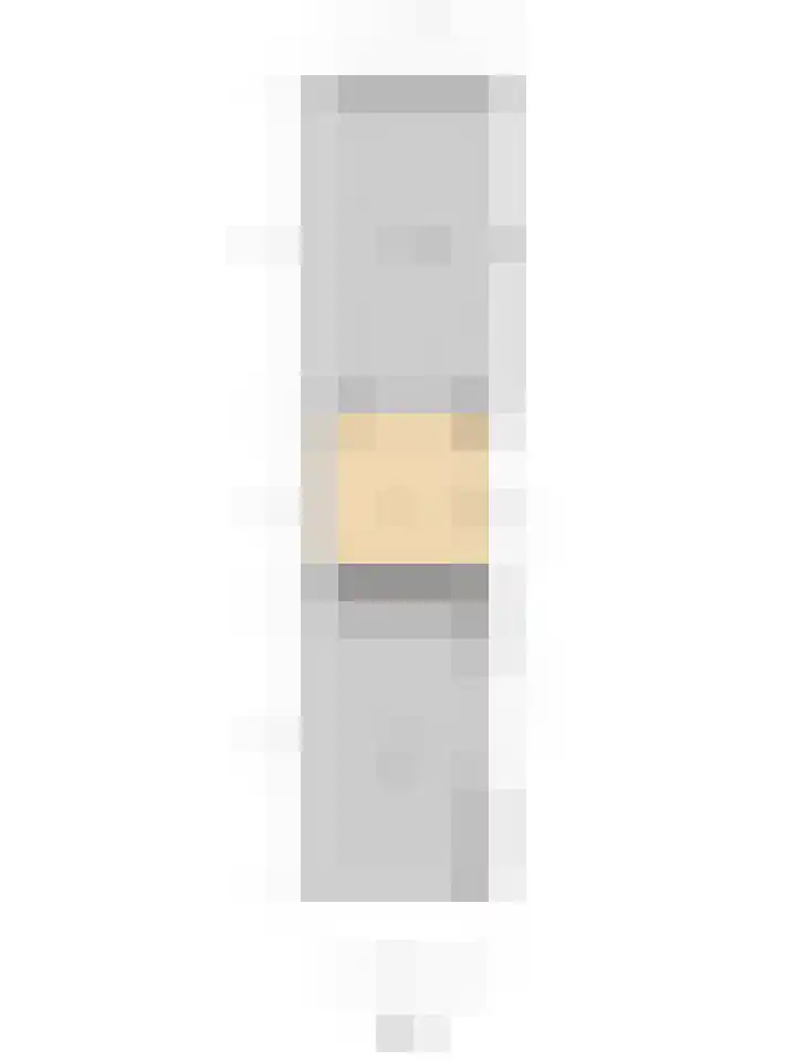 Zilverkarper 4 Vlijmen thumbnail 74