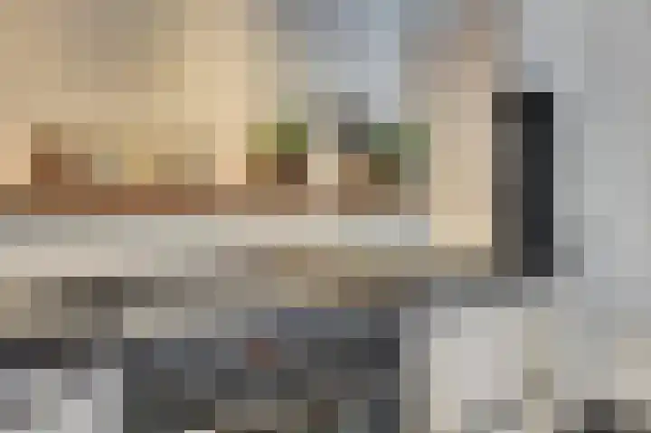 Zilverkarper 4 Vlijmen thumbnail 8
