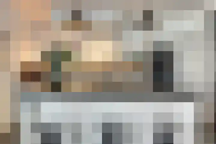 Zilverkarper 4 Vlijmen thumbnail 9