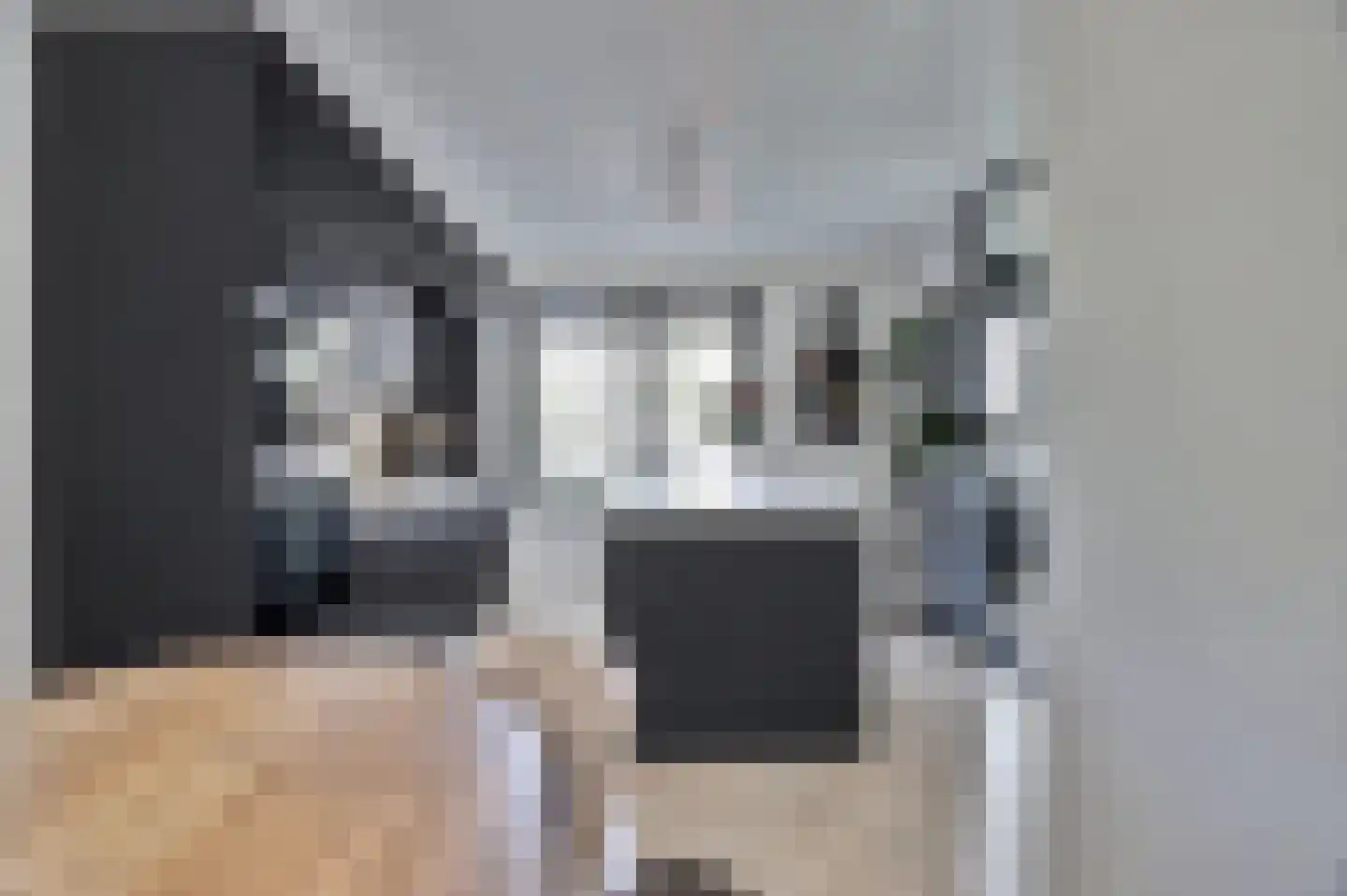 Zilverkarper 8 Waddinxveen thumbnail 13